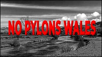 No Pylons Wales